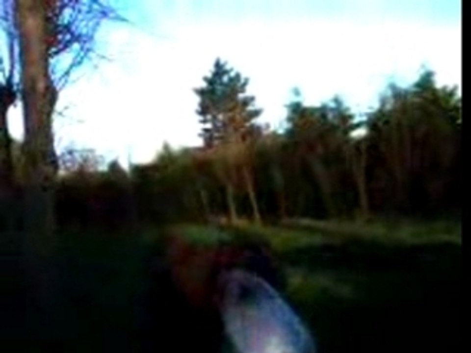 les ouf de oye plage