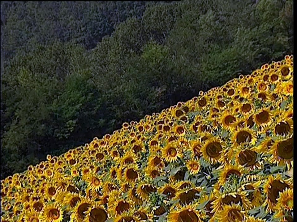Toscane, la marque du génie