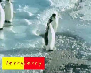 Peguin