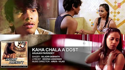 Kahan Chala A Dost Full Audio Song  Anjaan Parindey