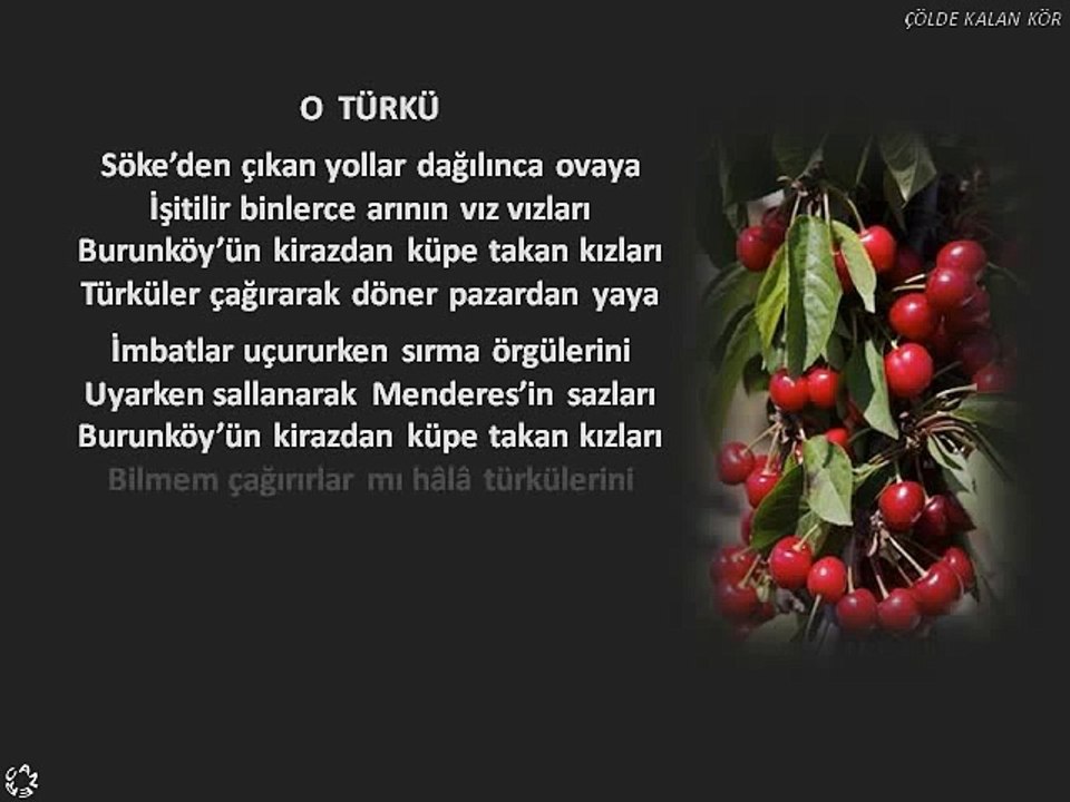 Sevgi ve Toprak Kurtuluş Savaşı