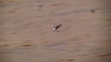 Kuvvetli Yağış ve Fırtınanın Ardından Temizlik ve Onarım Çalışmaları