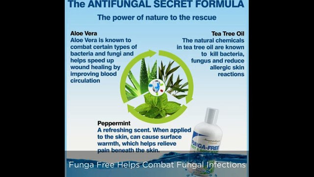 Tea Tree Oil Therapy -A Natural Effective Method