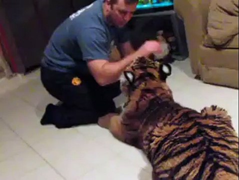 Evde Kaplan Beslemek 2