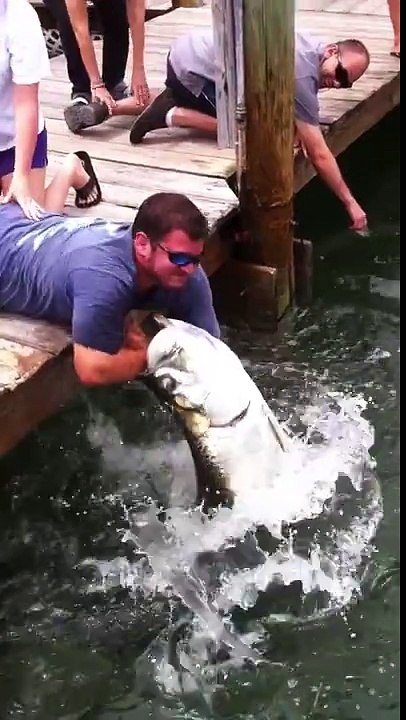 Fish Vs. Stupid Man