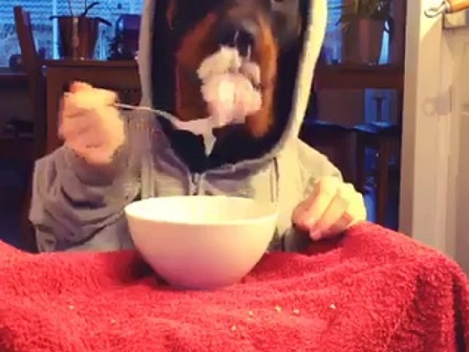 This will make your day, hilarious!!