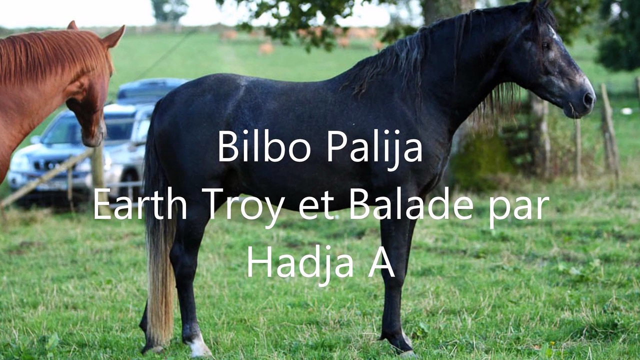 Bilbo-Travail1-Janvier2015
