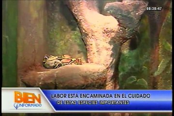 Bien Informado - Visita al VIVARIUM en Quito