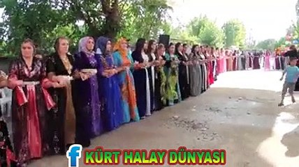 hey maşallah HERBİJÎ DEWETA KURDA