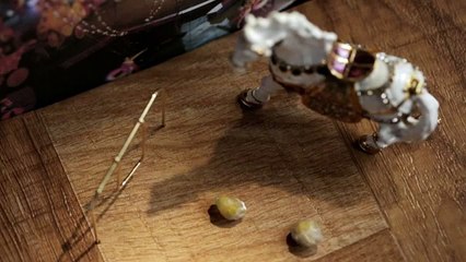 Funny videos Booger boys Circus Artists from funny videos ever