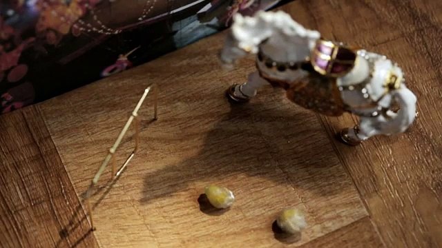 Funny videos Booger boys Circus Artists from funny videos ever