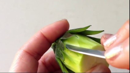 The Zucchini Cactus Rose Flower Tutorial, How Easy It Is...