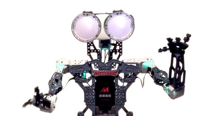 Robots Take Over the World