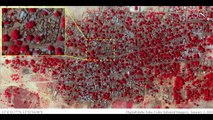 Imagens de satélite denunciam ataque do Boko Haram