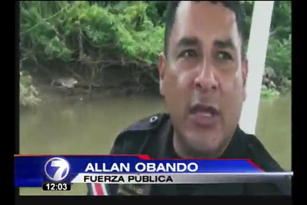Encuentran varios caimanes muertos en refugio de Caño Negro