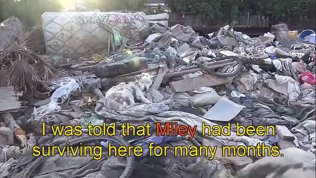 Dünyada Hala İyi İnsanlar Var! İyi İnsanlar İyi ki Varsınız..