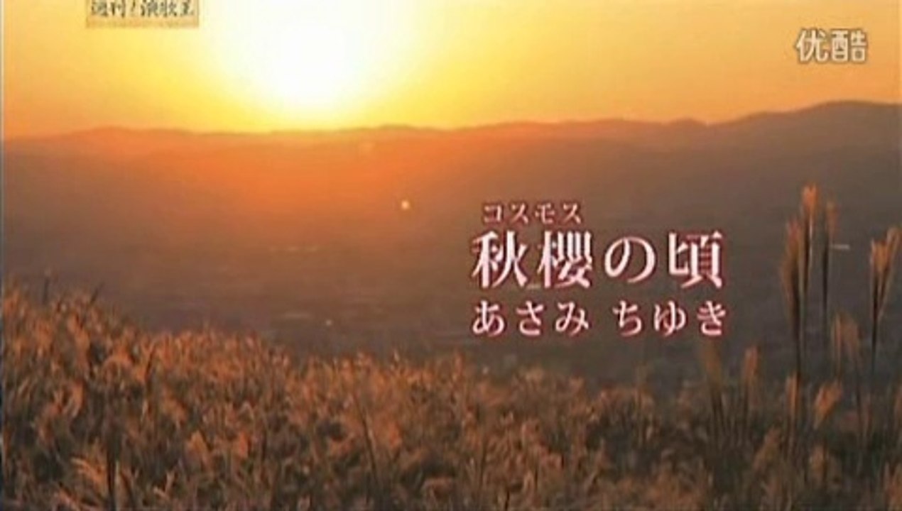 秋櫻の頃・・あさみちゆき