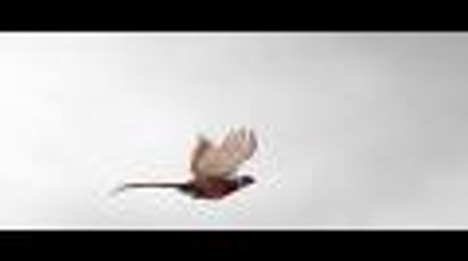 SEEN 2015 - #03 - Folge 3 von 5