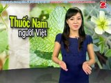 Địa chỉ mua tinh bột nghệ ở Hà Nội - Tác dụng của nghệ trong điều trị bệnh