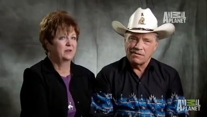 Evcil Hayvan Olarak Bufalo Beslemek