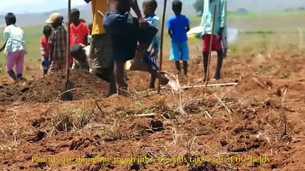 Soleil Marmailles - Présentation Amparihibé - Madagascar