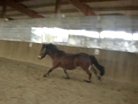 joker ki se défoule