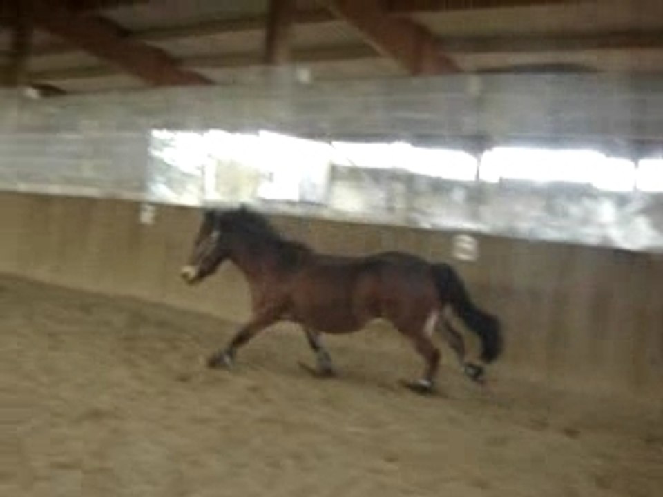 joker ki se défoule