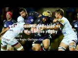 watch Welsh vs Bordeaux Begles rugby union online