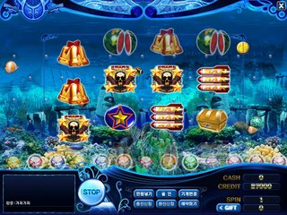 범고래 출현 바다이야기!! http://ti39.com