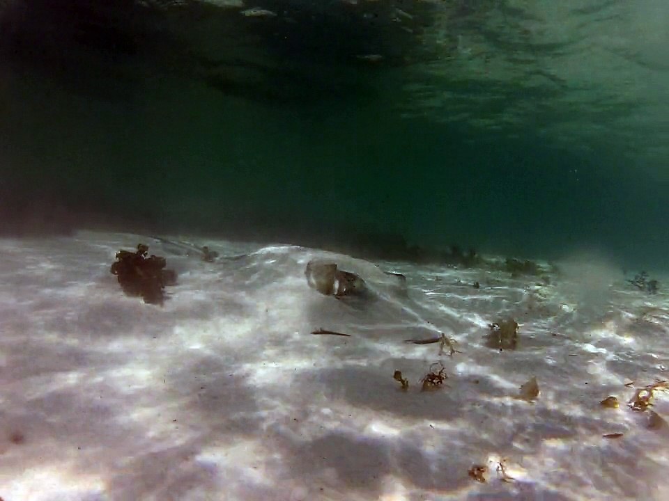 Petite-terre plonger raie pastenague dans le sable