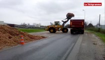 RN12. Échalotes : le nettoyage a commencé