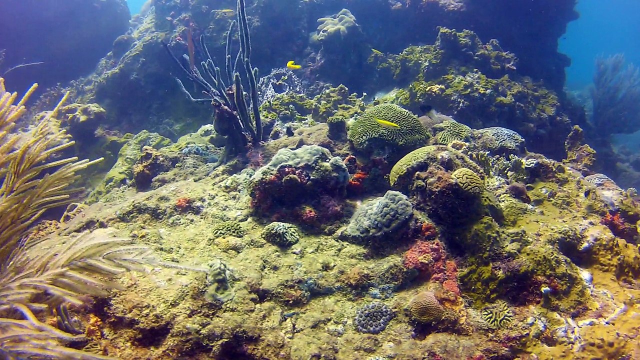 Tobago 2014