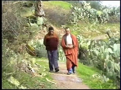 la pluie, les olives, les paysans écoutez vous n'allez pas regreter