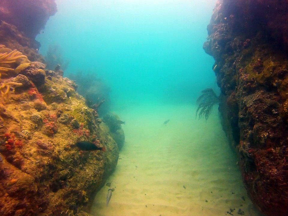 Tobago 2014