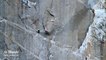 L'exploit de deux alpinistes sur El Capitan