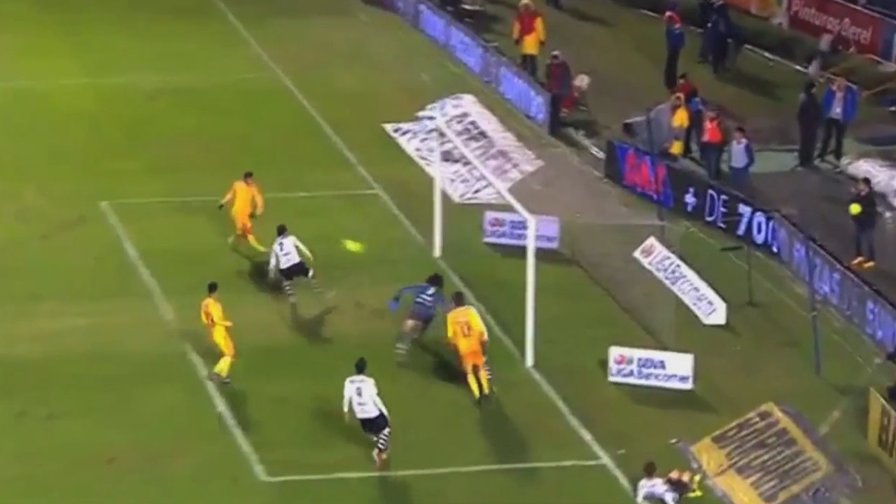 Un arrêt réflexe venu d'ailleurs !