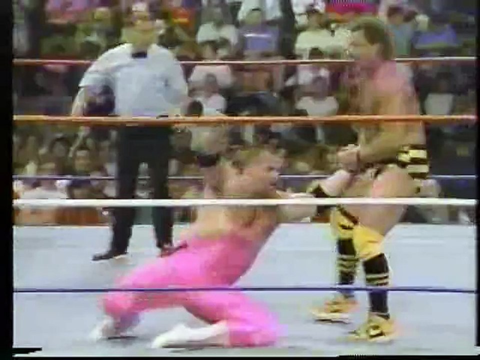 WWF Superstars 1987-06-20