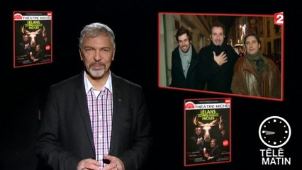 Les élans ne sont pas des animaux