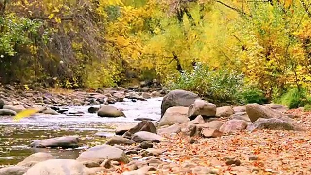 Des sculptures en pierres comme par magie !