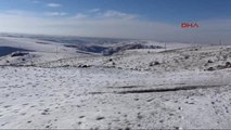 Yozgat'ta Jandarmadan Yabani Hayvanlar İçin Doğaya Yem