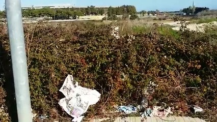 Degrado in città, Piazza Madre Teresa di Calcutta abbandonata a se stessa-Leccenews24