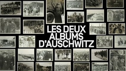 Auschwitz, l’histoire de deux albums