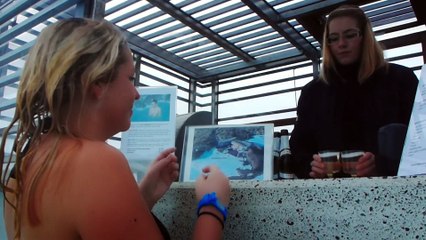 Blue Lagoon Iceland on a winterday