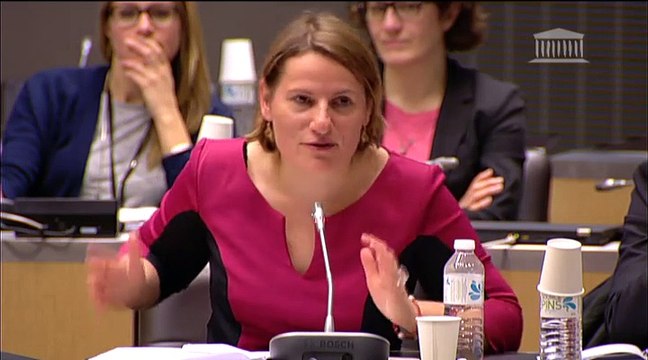 Audition de M. Louis Schweitzer, commissaire général à l'investissement - Mercredi 14 Janvier 2015