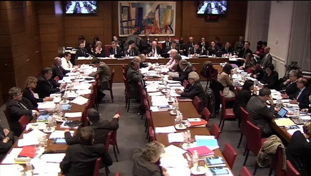 Commission spéciale croissance et activité - Mercredi 14 Janvier 2015