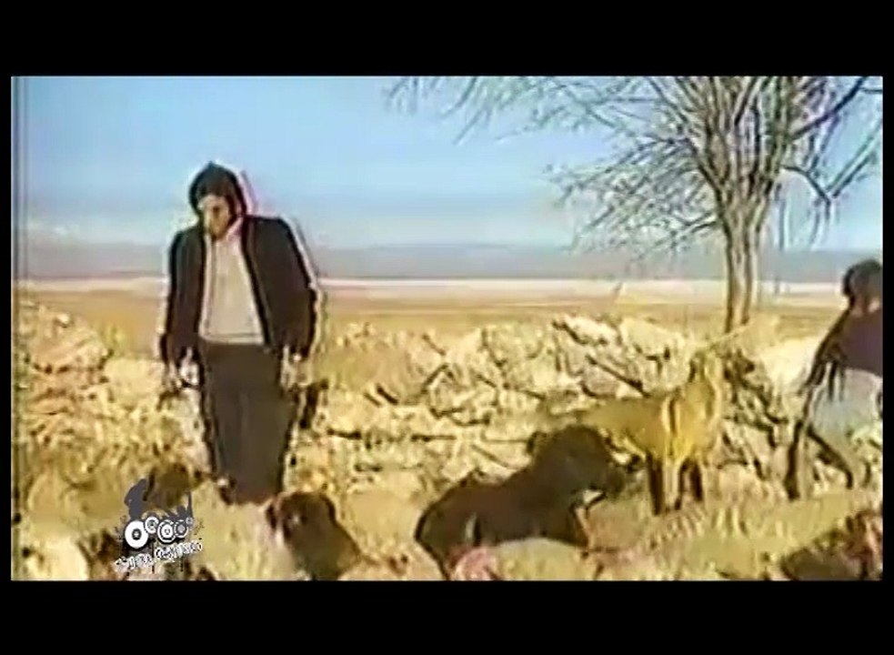 Programa 01 (2012) - Bloque 03 - Iracundos