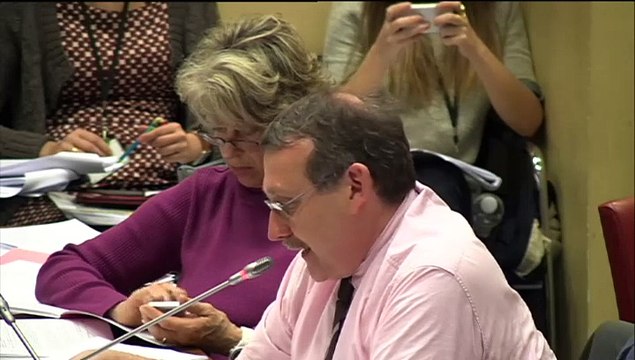 Commission spéciale PL croissance et activité (intervention sur l'amendement permis de conduire - passage du code à l'école)