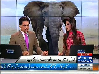 Thailand May BadMast Hathiyo Nay Hosh Ura Diye