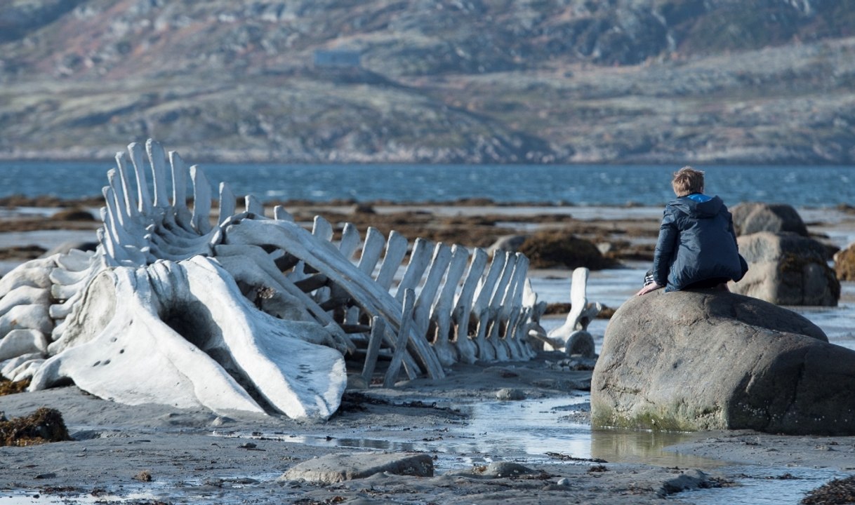 Leviathan - Türkçe altyazılı fragman 2
