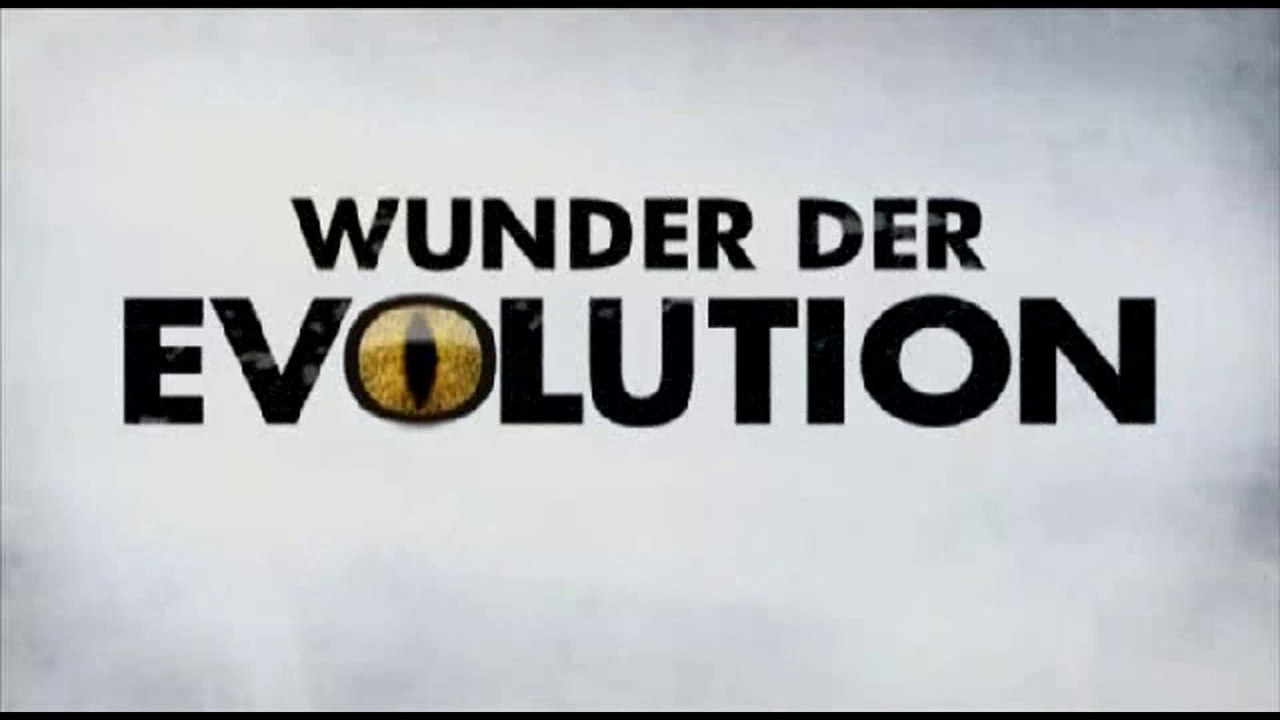 Wunder der Evolution - 2008 - Kommunikation - by ARTBLOOD